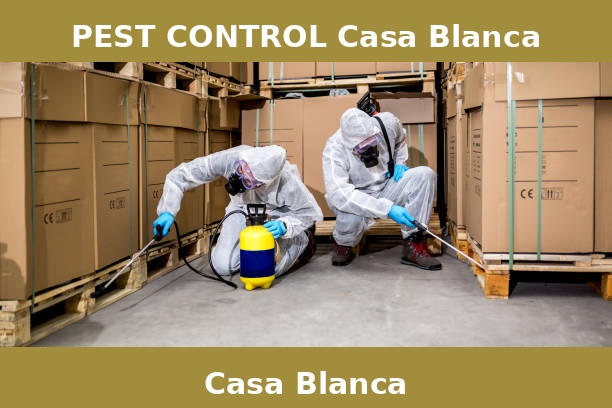 PEST CONTROL Casa Blanca